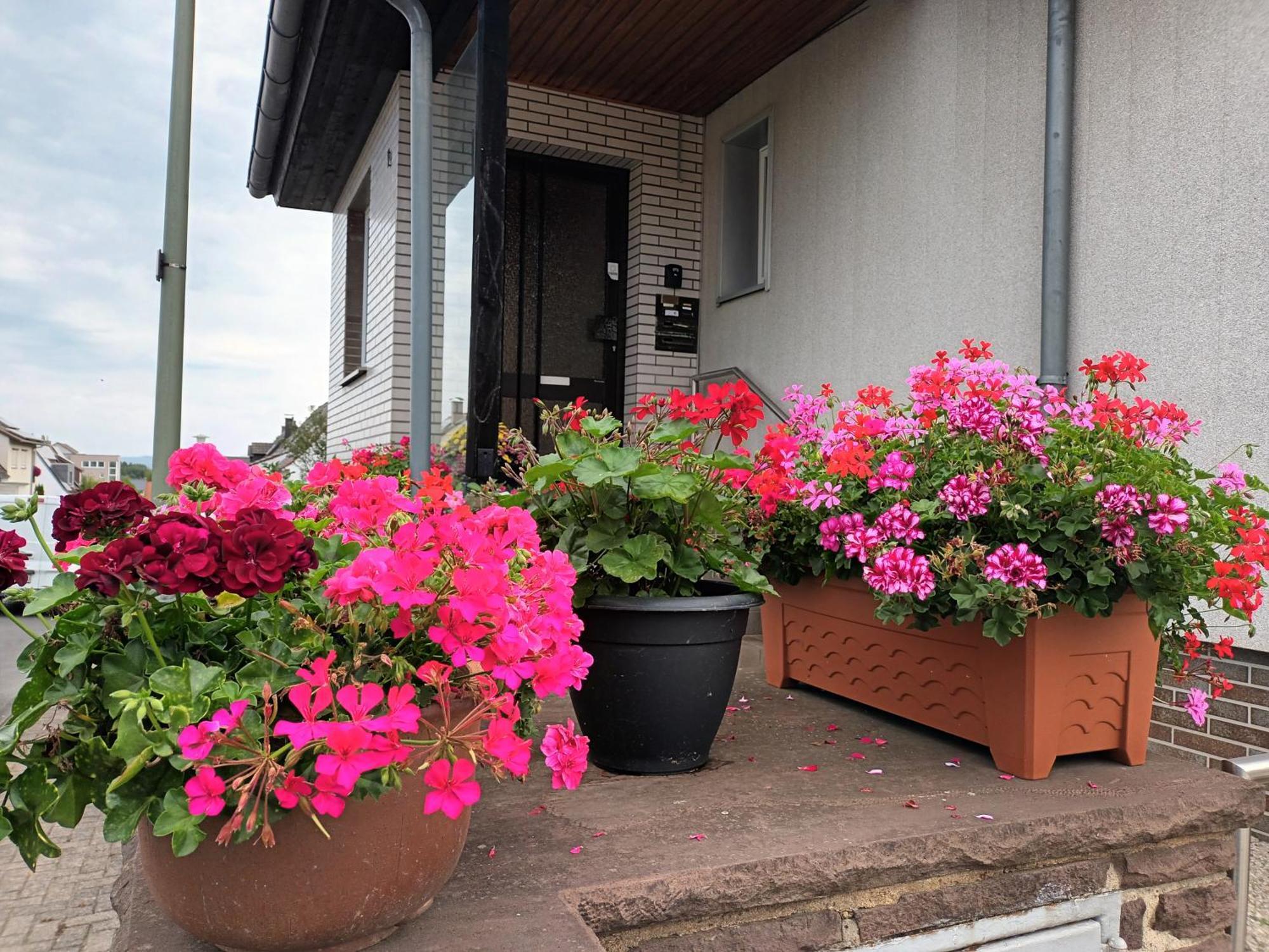 Ferienwohnung Kassel - 2 Екстер'єр фото